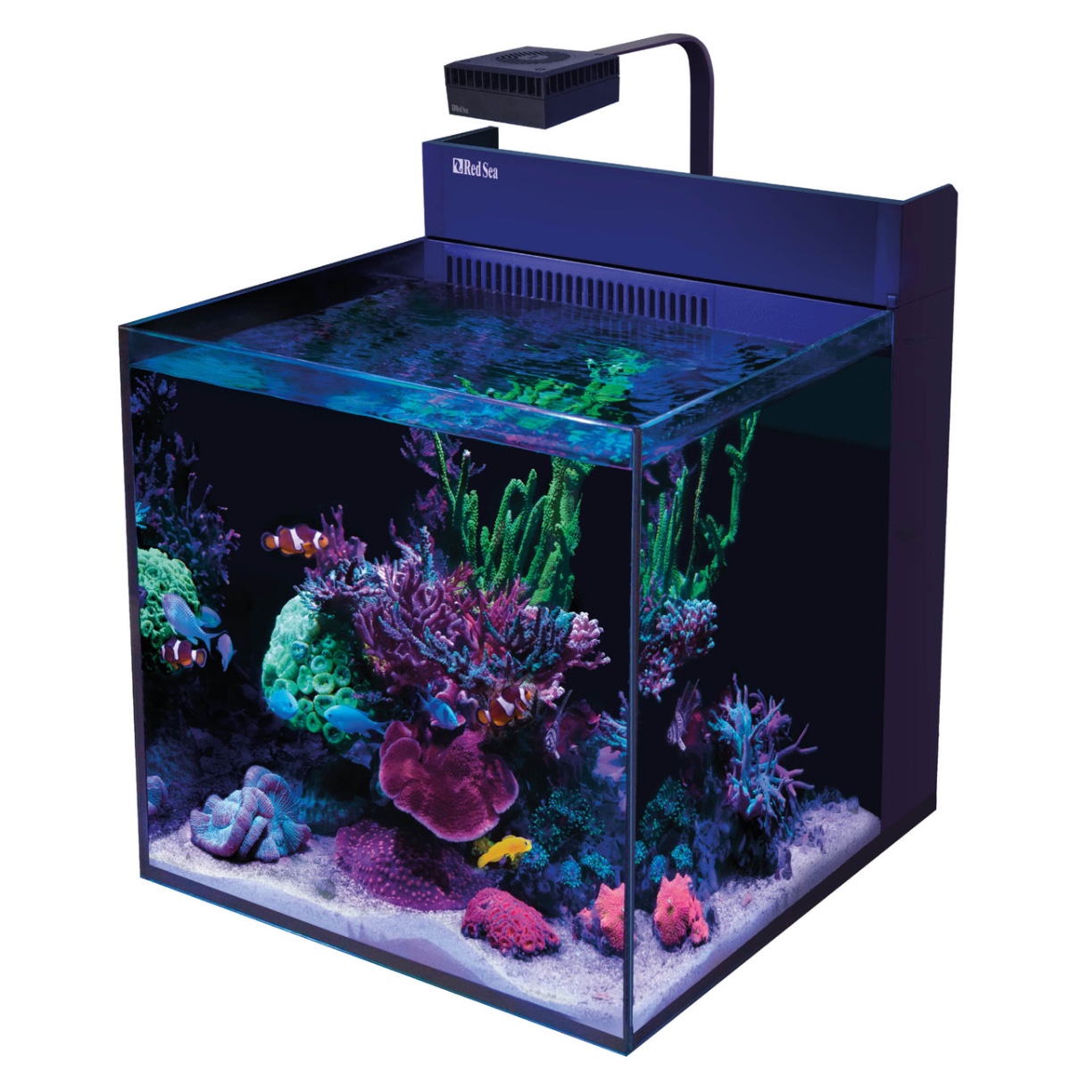 Red Sea Max Nano XL G2 - 33 Gallon Aquarium