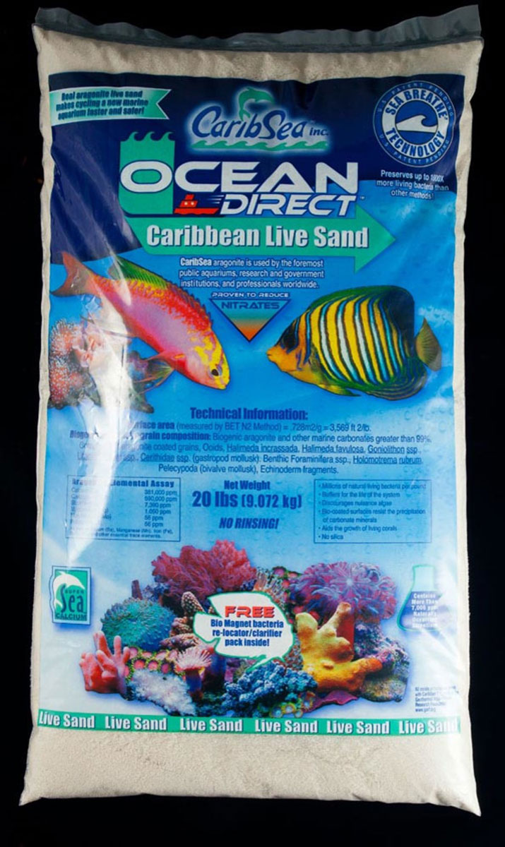 ocean direct live sand