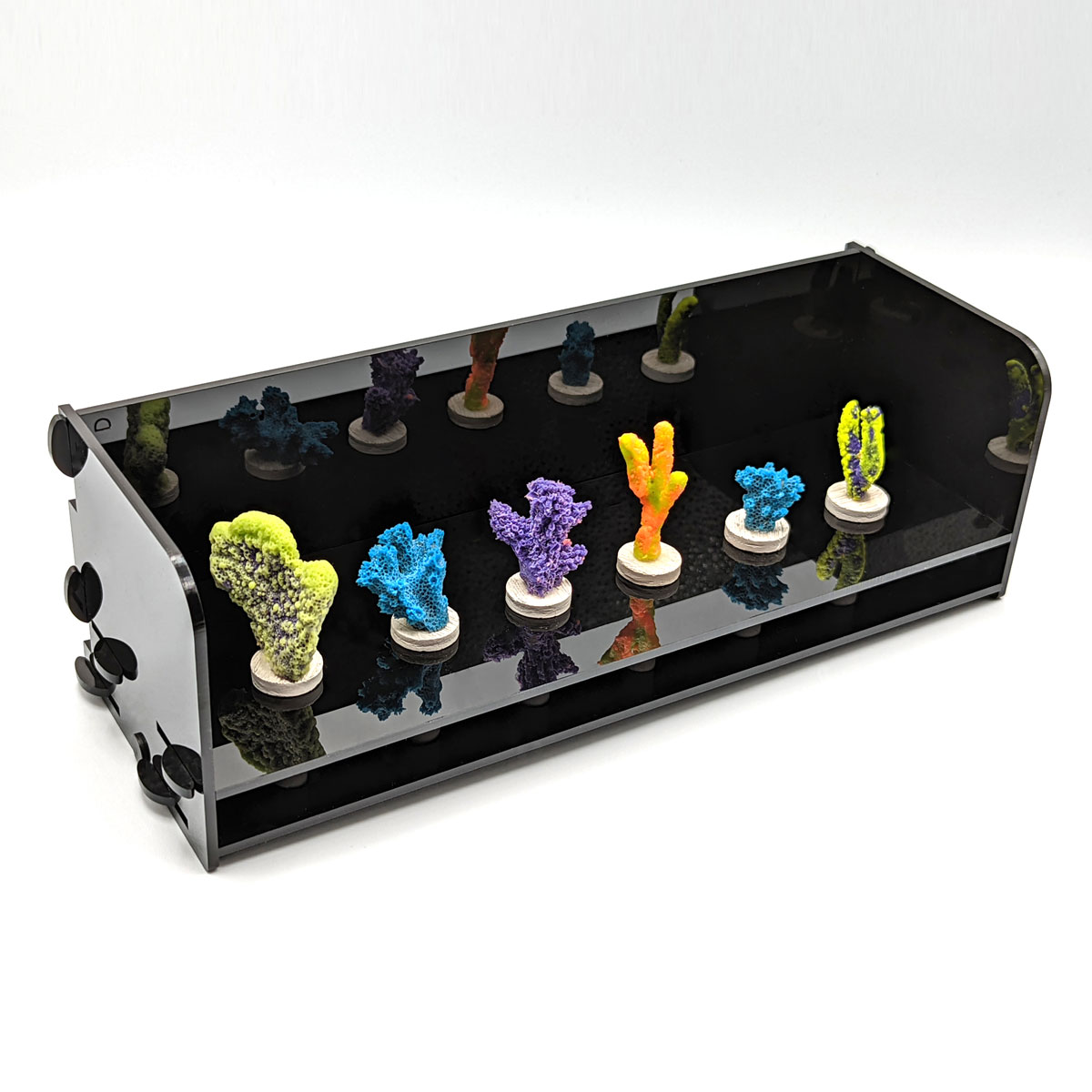 海水魚用品 Coral Box D300 BioTek Marine 6 Hole Coral Photo Box