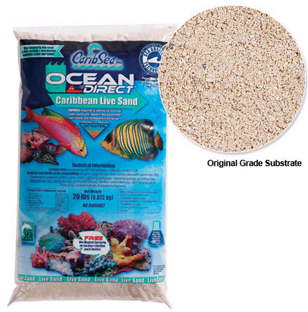 How to Pick the Right Substrate for your Marine Aquarium