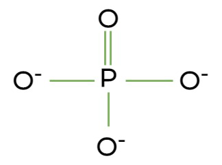 Phosphate in a Reef Aquarium: Understanding Safe Levels and Management