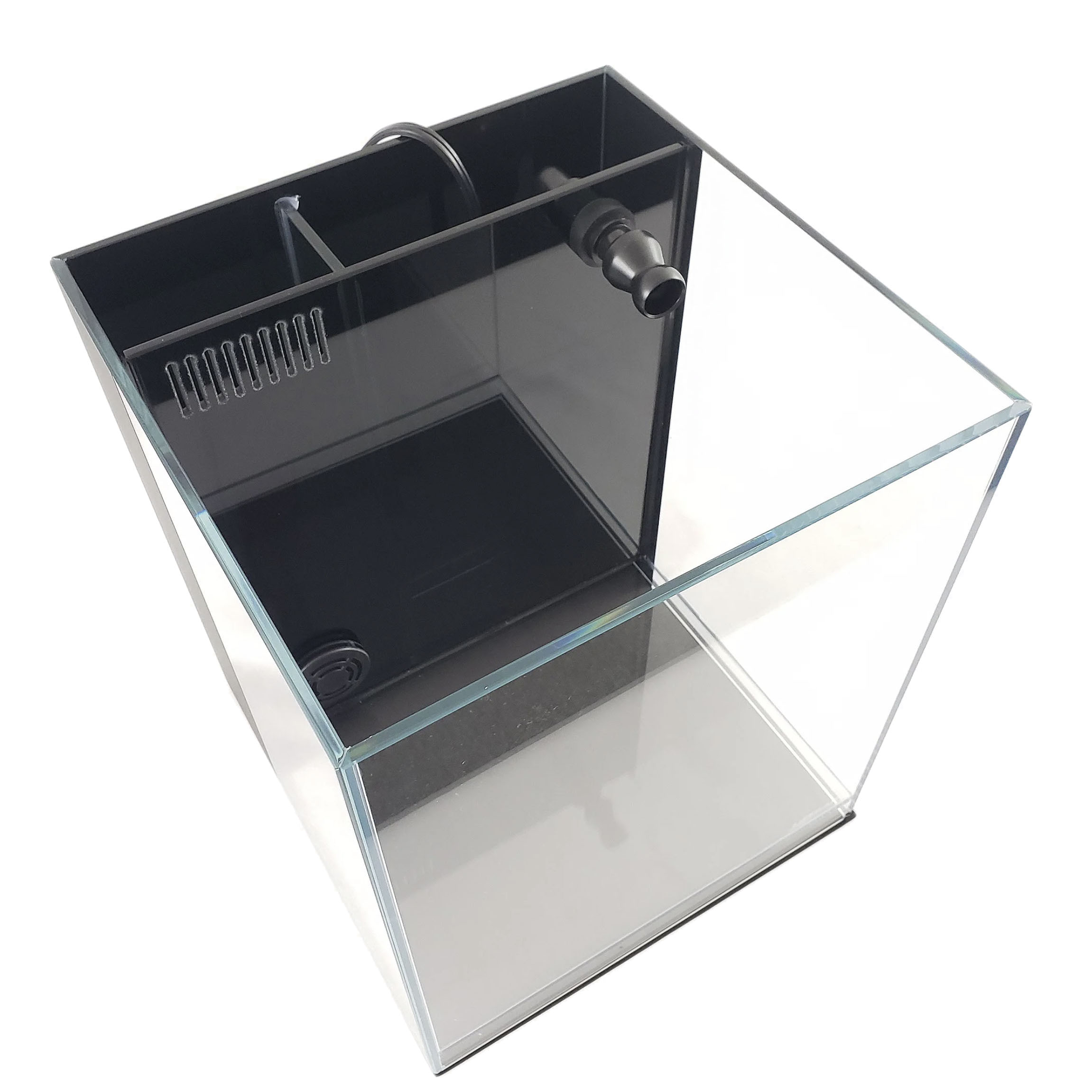 Lifegard Aquatics Budget-Friendly Aquariums: A Perfect Choice for Freshwater and Saltwater Enthusiasts