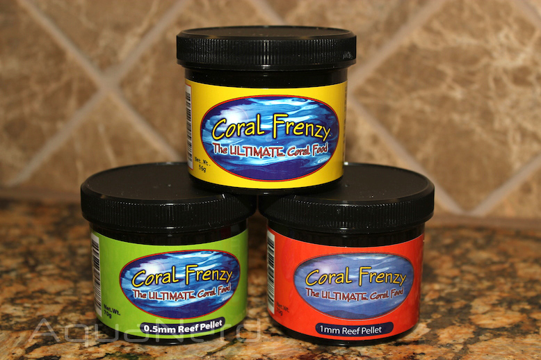 Coral Frenzy Coral Frenzy