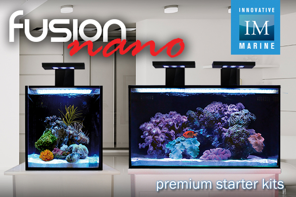 Nano Fusion Nano Fusion