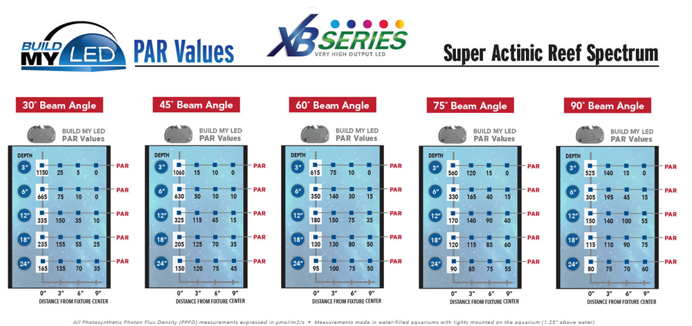 Build My LED Super Actinic PAR Values