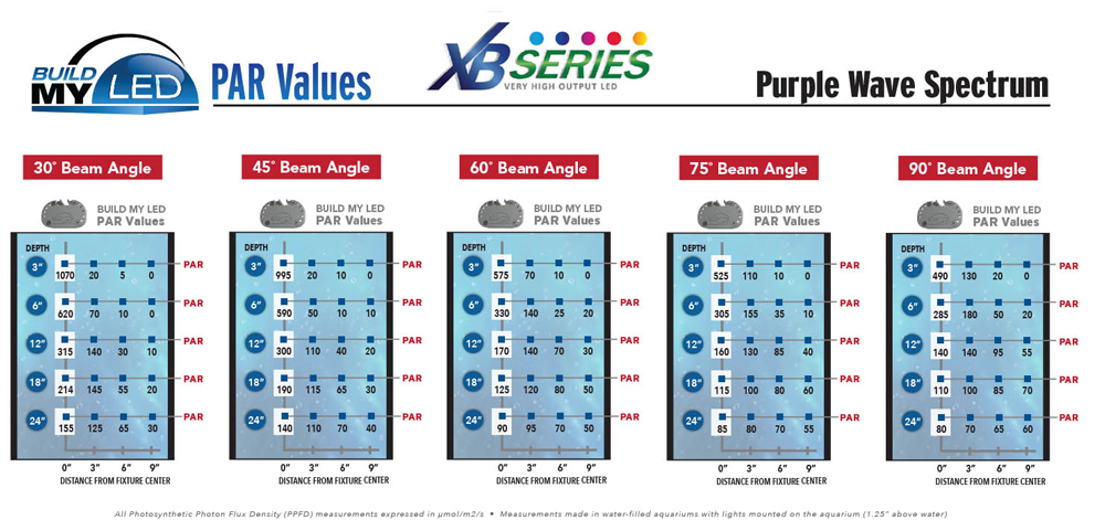 Build My LED Purple Wave PAR Values