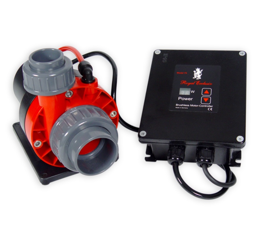Red Dragon Speedy 80 watt Red Dragon Speedy 80 watt