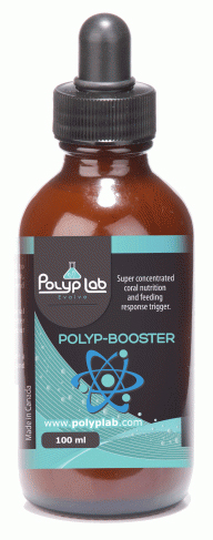 Polyp Lab Polyp-Booster
